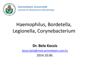 Haemophilus, Bordetella, Legionella.