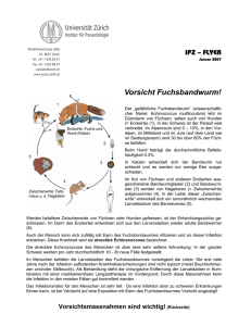PDF, 200 KB - Universität Zürich
