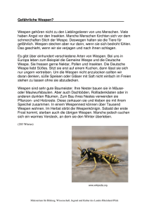 Gefährliche Wespen? - Bildungsserver Rheinland