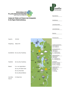 Analyse der Risiken und Chancen des Klimawandels für die Region