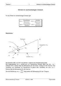 Winkel im rechtwinkeligen Dreieck