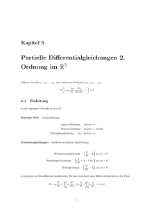 Partielle Differentialgleichungen 2. Ordnung im R