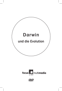 Darwin - focus
