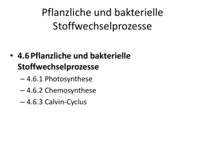 4.6 Pflanzliche und bakterielle Stoffwechselprozesse