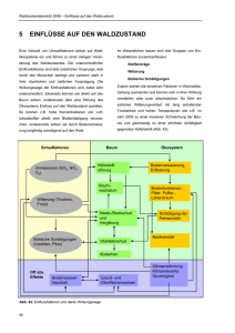 5 EINFLÜSSE AUF DEN WALDZUSTAND