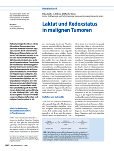 Laktat und Redoxstatus in malignen Tumoren