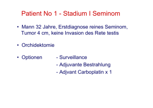 Lesen Sie hier das Referat