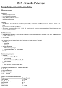 Spezielle Pathologie - broesel