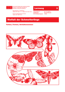 Vielfalt der Schmetterlinge - Naturhistorisches Museum Bern