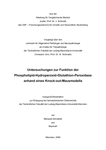 Untersuchungen zur Funktion der Phospholipid