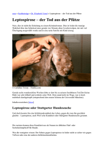 Leptospirose - Tiervermittlungen