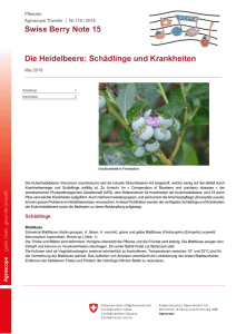 Swiss Berry Note 15 Die Heidelbeere: Schädlinge und