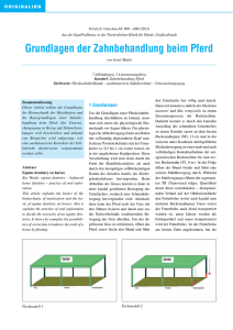 Grundlagen der Zahnbehandlung beim Pferd