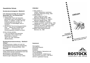 Faltblatt Libellen (application/pdf/pdf 92.0 KB)