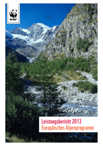 Leistungsbericht 2013 Europäisches Alpenprogramm