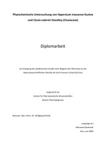 Diplomarbeit - Universität Wien