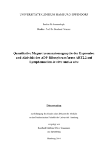 Dokument 1 - E-Dissertationen der Universität Hamburg