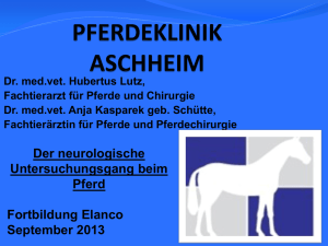 Der neurologische Untersuchungsgang beim Pferd