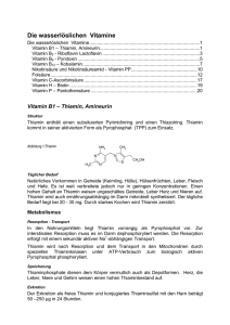 Die wasserlöslichen Vitamine - Biochemie