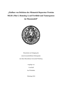 Einfluss von Defekten des Mismatch Reparatur