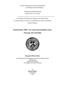 Funktionelles MRT von Tumormausmodellen unter Therapie mit