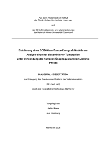 Etablierung eines SCID-Maus-Tumor-Xenograft