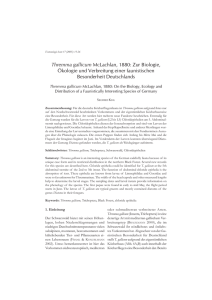 Thremma gallicum McLachlan, 1880: Zur Biologie
