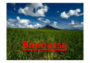 Biomasse - Stromberg