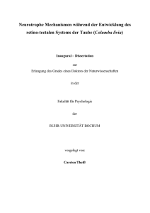 Neurotrophe Mechanismen während der Entwicklung des retino