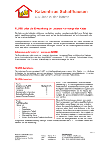 Zum Artikel - Katzenhaus Schaffhausen