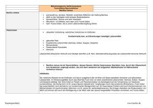 Steckbrief Mikroorganismen