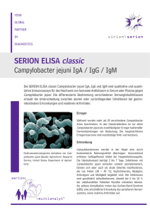 SERION ELISA classic Campylobacter jejuni IgA / IgG