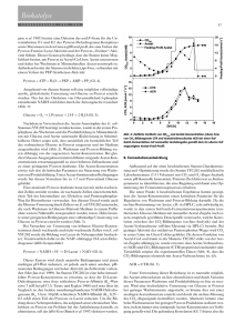 Biokatalyse - Deutsche Bundesstiftung Umwelt