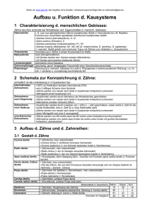 Ansicht als PDF-Datei