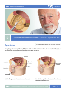 Symptome - EAU Patient Information