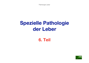 06_Leber,_Hepatosen_(Teil 2)