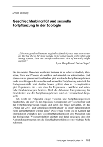 Diese PDF-Datei herunterladen