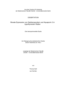 Renale Expression von Salztransportern und Aquaporin 2 in