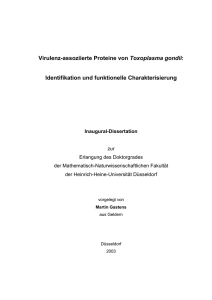 Virulenz-assoziierte Proteine von Toxoplasma gondii: Identifikation