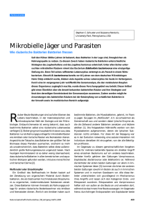 Mikrobielle Jäger und Parasiten - Naturwissenschaftliche Rundschau