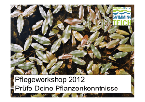 Pflegeworkshop 2012