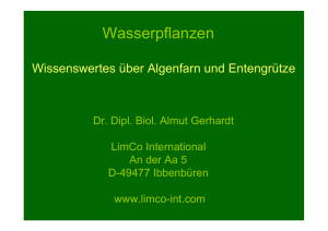 Vortrag von Dr. Dipl. Biol. Almut Gerhardt