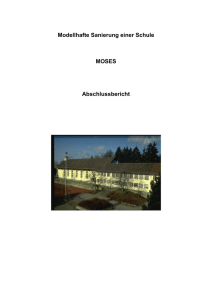 Abschlussbericht Projekt MOSES