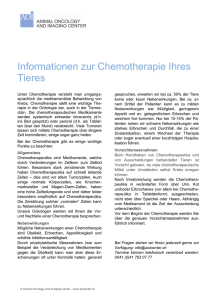 Informationen zur Chemotherapie Ihres Tieres
