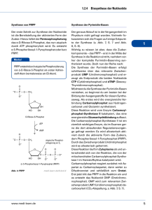 5 1.2.4 Biosynthese der Nukleotide - Medi