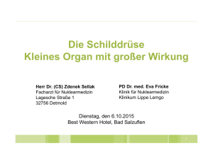 Die Schilddrüse Kleines Organ mit großer Wirkung