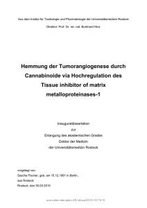 Hemmung der Tumorangiogenese durch Cannabinoide