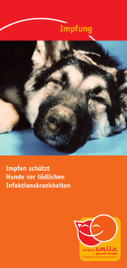 Impfen schützt Hunde vor tödlichen Infektionskrankheiten