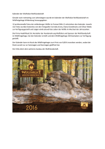 Kalender der Wolfsblut Wolfslandschaft Gerade noch rechtzeitig