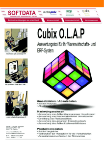 Broschüre CUBIX O.L.A.P eBook